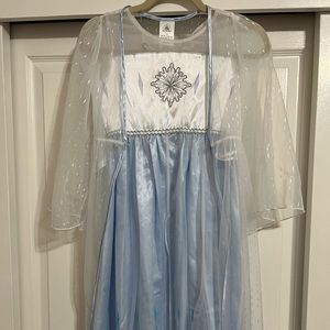 Disney Princess Costume